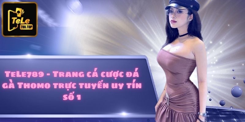 TeLe789 - Trang cá cược đá gà Thomo trực tuyến uy tín số 1